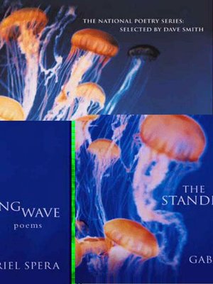 cover image of The Standing Wave